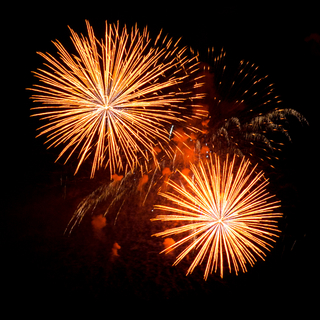 Bonne année