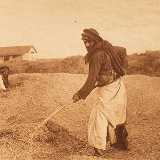 Les paraboles, chemins de traverse au pays de l’Évangile